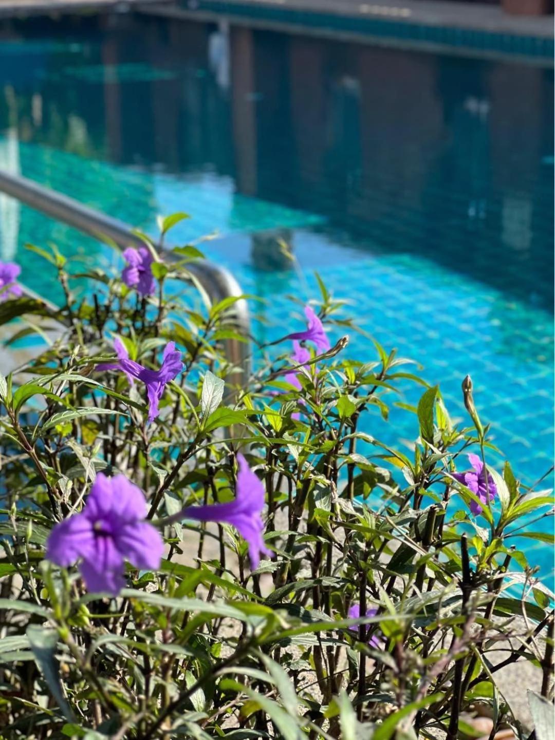 Pattara Mansion พัทยา Hotell Pattaya Eksteriør bilde